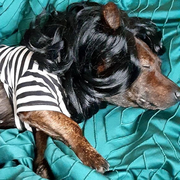 Meet your Posher, Kween Ashuntae - Picture 4 of 4